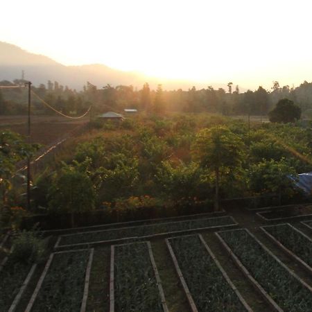 Forest Side Farm - Homestay At Kotabagh Near Nainital And Jim Corbett Buitenkant foto