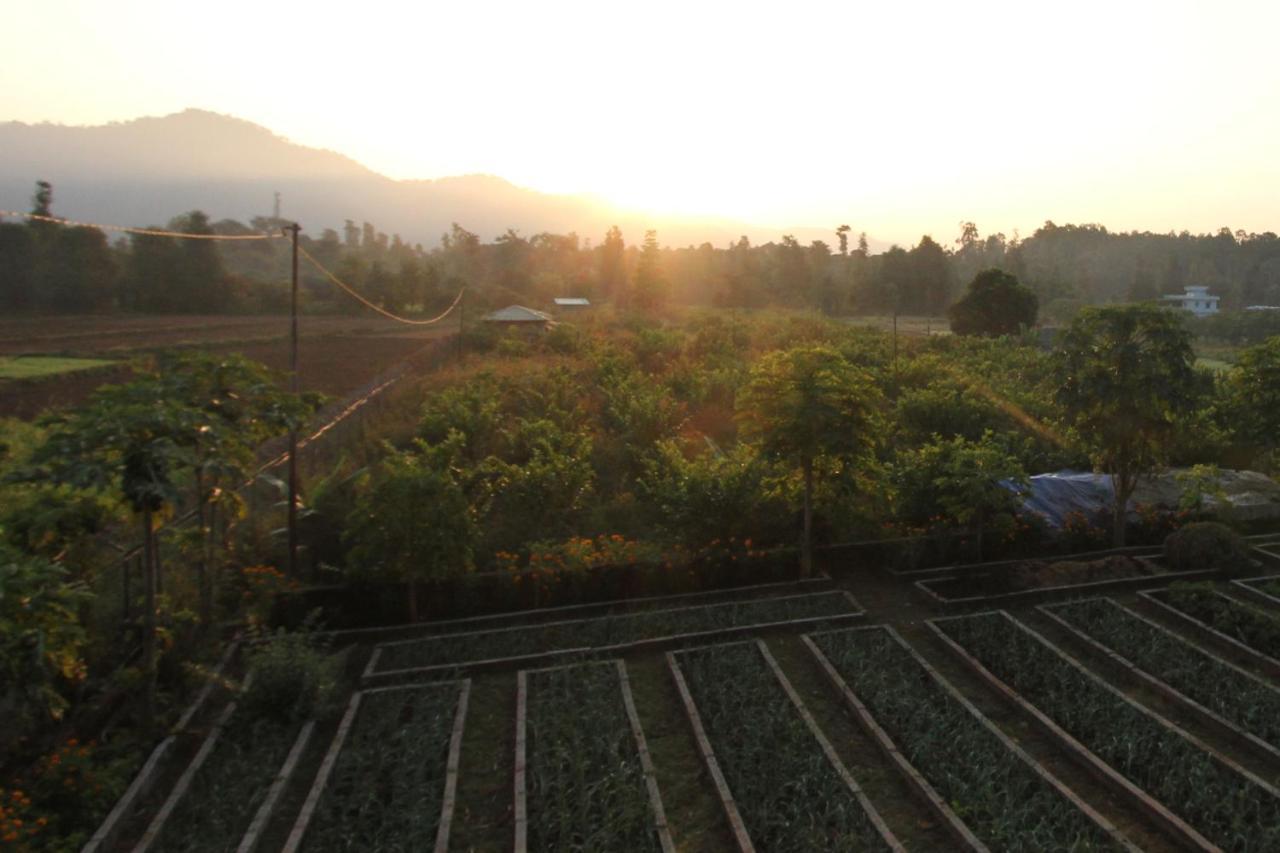 Forest Side Farm - Homestay At Kotabagh Near Nainital And Jim Corbett Buitenkant foto