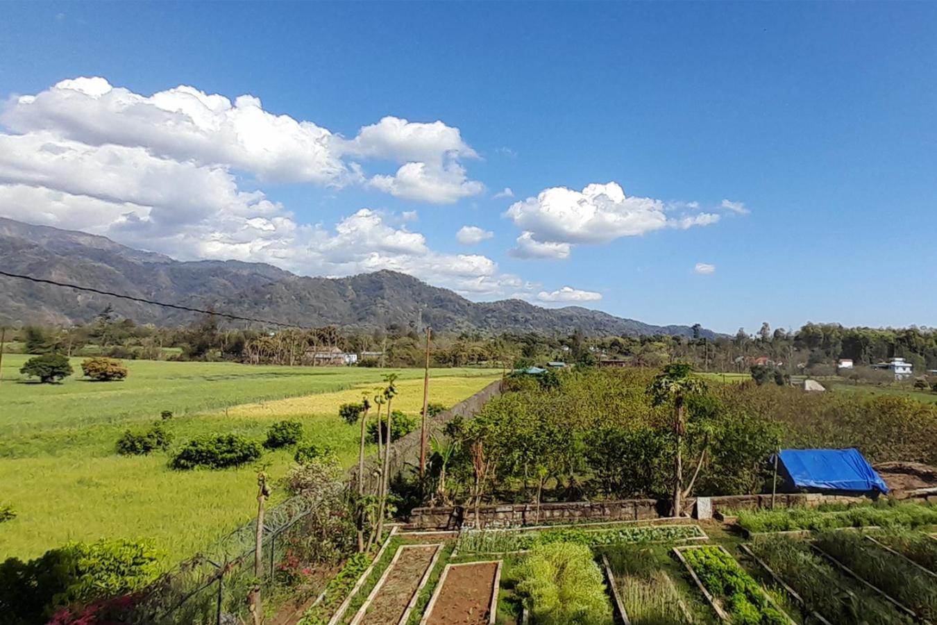 Forest Side Farm - Homestay At Kotabagh Near Nainital And Jim Corbett Buitenkant foto